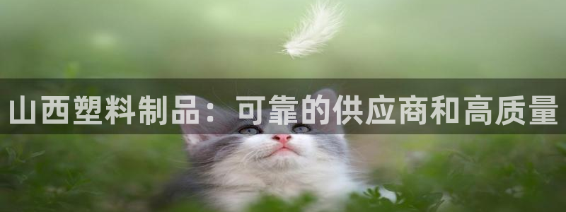 太阳集团2007：山西塑料制品：可靠的供应商和高质量