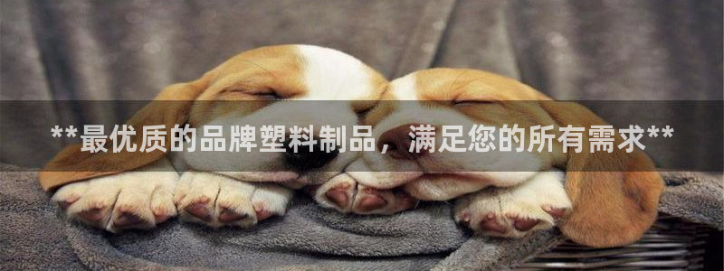太阳影视公司：**最优质的品牌塑料制品，满足您的所有需求**