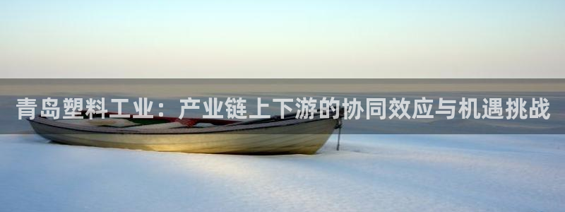 太阳成集团tyc234cc：青岛塑料工业：产业链上下游的协同