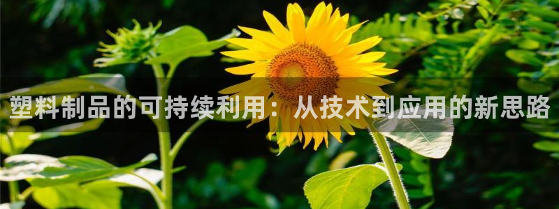 太阳贵宾城：塑料制品的可持续利用：从技术到应用的新思路