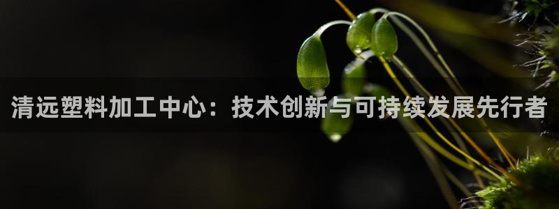 太阳集团的老总是谁：清远塑料加工中心：技术创新与可持续发展先