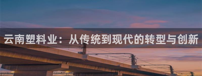 太阳集团2007：云南塑料业：从传统到现代的转型与创新