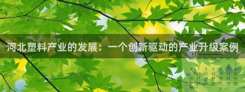 太阳gg登录首页：河北塑料产业的发展：一个创新驱动的产业升级