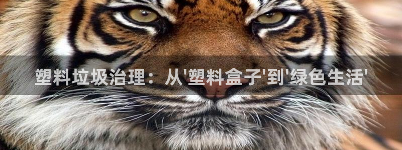 太阳成集团tyc234cc[主页]网址振兴：塑料垃圾治理：从