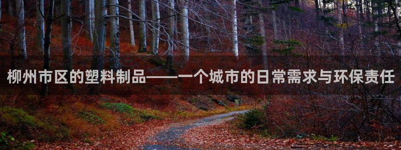 太阳成集团娱乐网站：柳州市区的塑料制品——一个城市的日常需求
