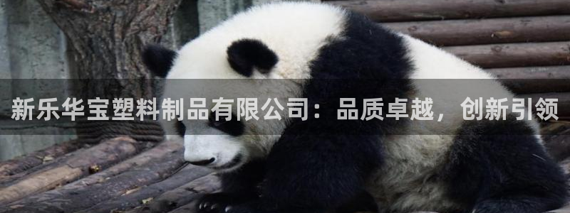 太阳集团电子游戏不朽的浪漫视频：新乐华宝塑料制品有限公司：品