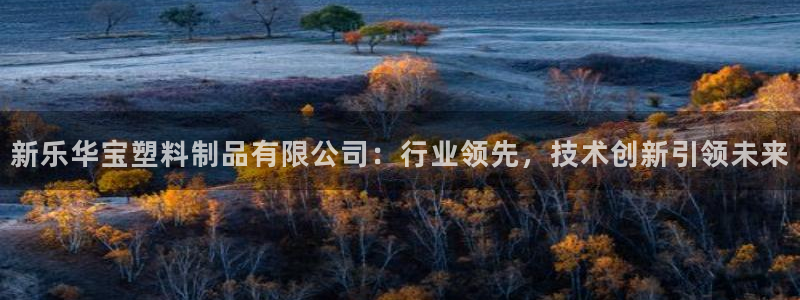太阳成集团视频：新乐华宝塑料制品有限公司：行业领先，技术创新