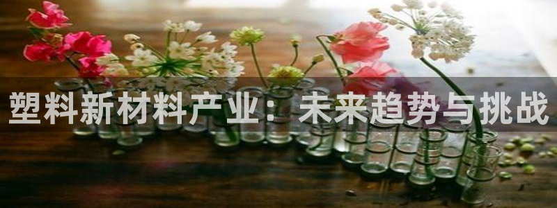 太阳集团游戏城旧版：塑料新材料产业：未来趋势与挑战