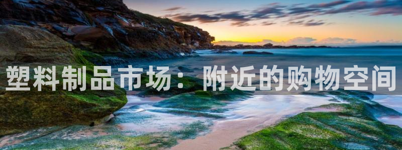 太阳集团电子游戏(中国)有限公司官网：塑料制品市场：附近的购