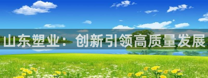 太阳成集团是干嘛的：山东塑业：创新引领高质量发展