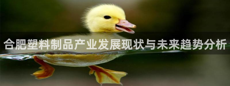 太阳成集团tyc234cc：合肥塑料制品产业发展现状与未来趋