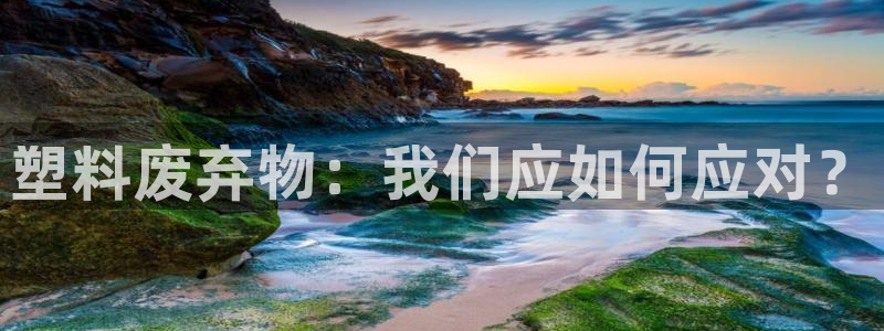 太阳成集团老板是谁：塑料废弃物：我们应如何应对？