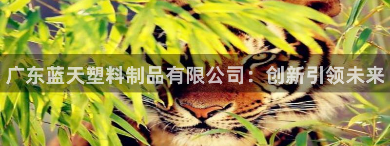 2007so太阳集团下载：广东蓝天塑料制品有限公司：创新引领