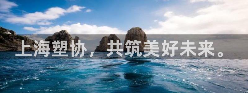 太阳集团董事长是谁?：上海塑协，共筑美好未来。