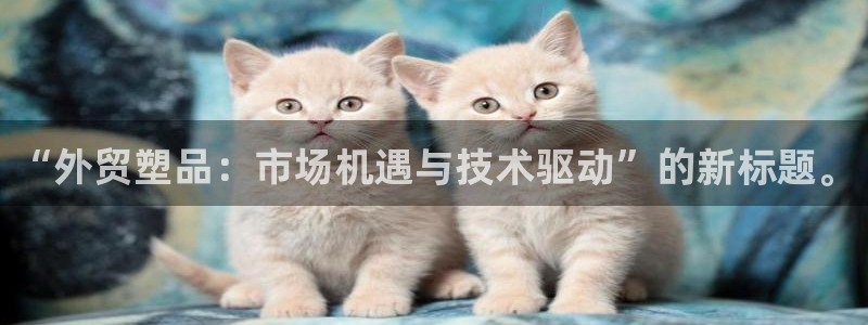 太阳app苹果下载地址：“外贸塑品：市场机遇与技术驱动”的新
