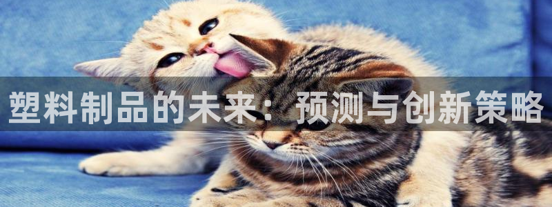 太阳集团tcy8722-主页|欢迎您：塑料制品的未来：预测与
