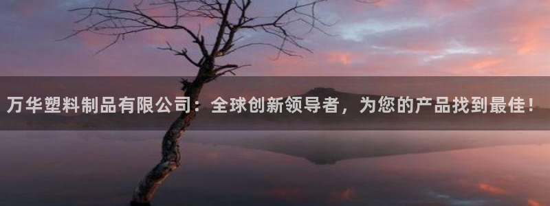 太阳集团电视剧：万华塑料制品有限公司：全球创新领导者，为您的