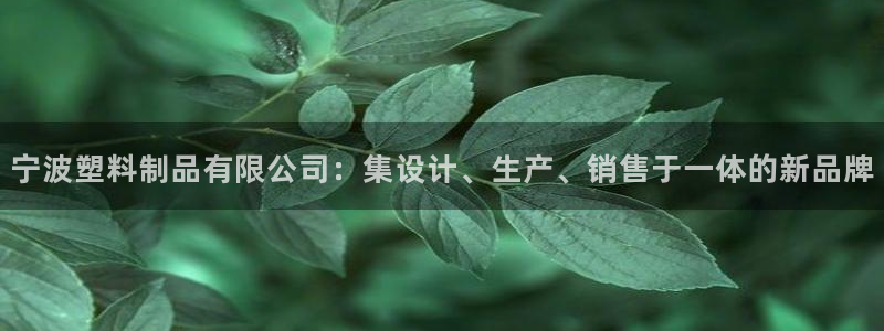 太阳阳城集团：宁波塑料制品有限公司：集设计、生产、销售于一体