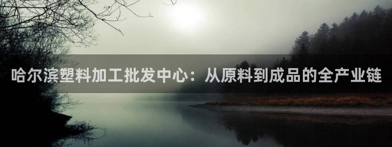 太阳集团地址：哈尔滨塑料加工批发中心：从原料到成品的全产业链