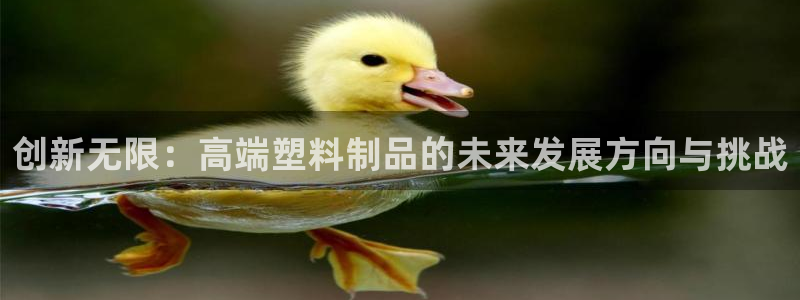 15vip太阳集团官网：创新无限：高端塑料制品的未来发展方向