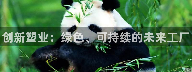 太阳诚集团视频：创新塑业：绿色、可持续的未来工厂
