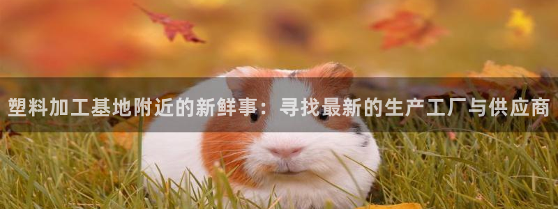 古天乐太阳集团广告：塑料加工基地附近的新鲜事：寻找最新的生产