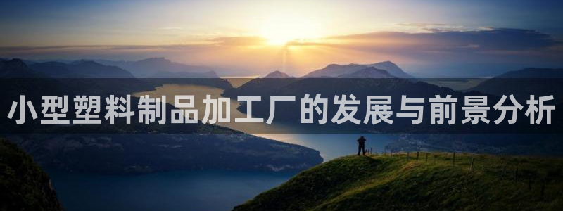 太阳集团注册：小型塑料制品加工厂的发展与前景分析