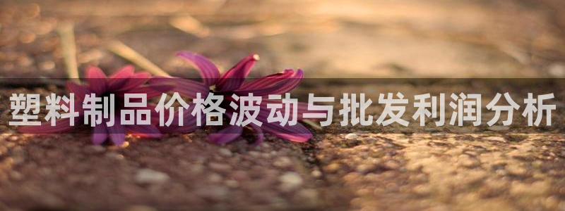 太阳集团城娱8722：塑料制品价格波动与批发利润分析